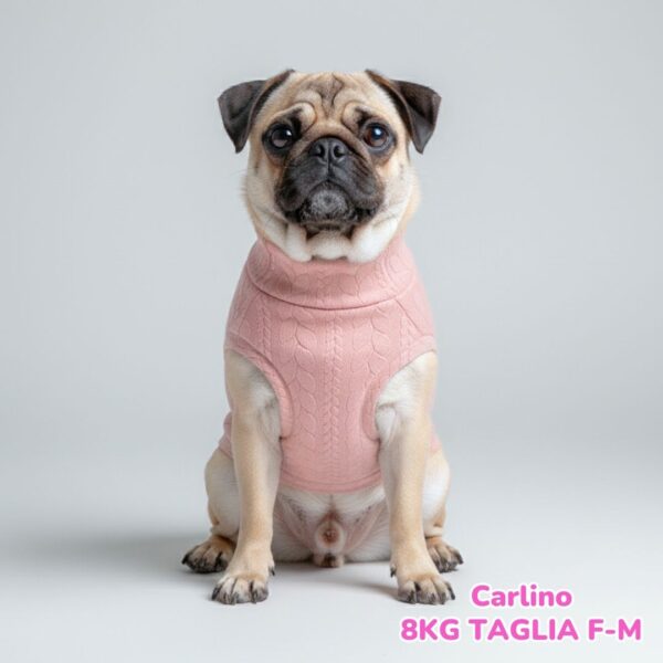 Maglione a Coste Rosa