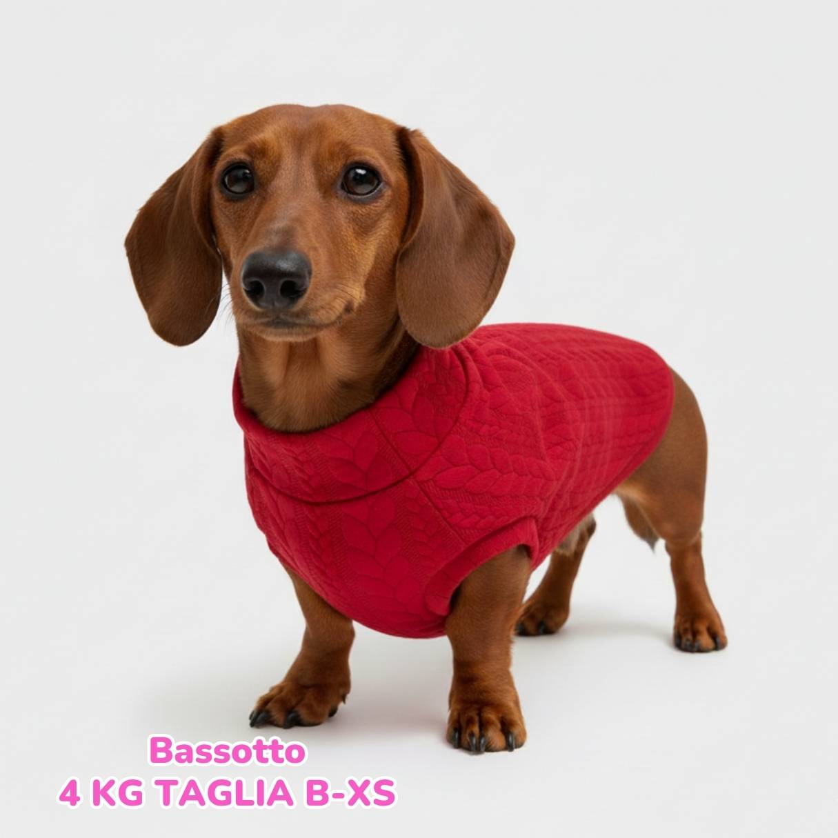 Maglione a Coste Rosso