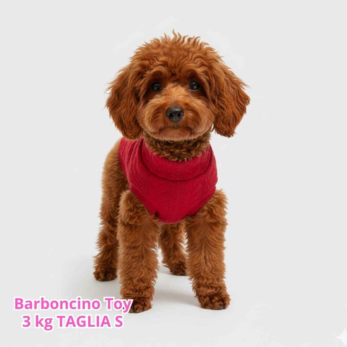 Maglione a Coste Rosso