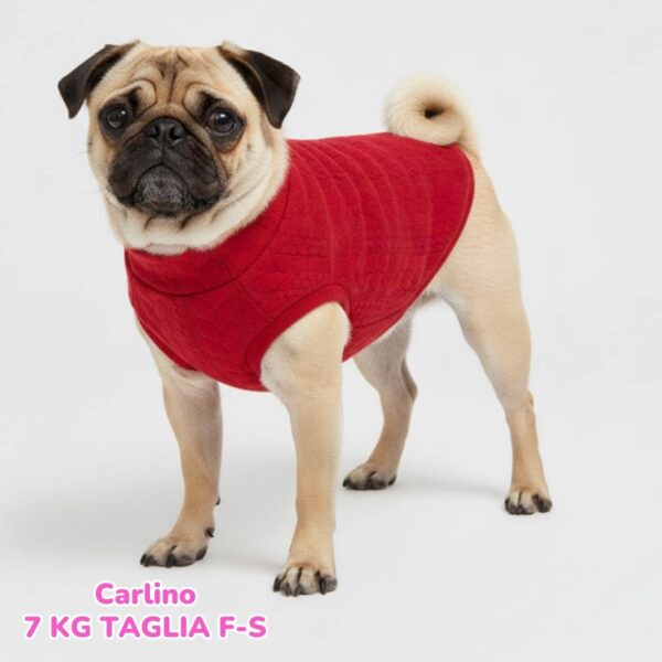 Maglione a Coste Rosso