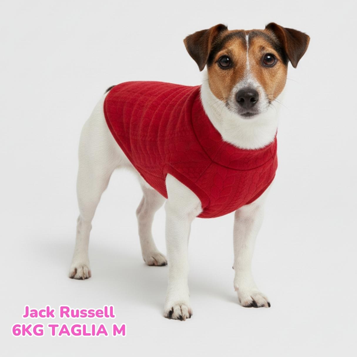 Maglione a Coste Rosso