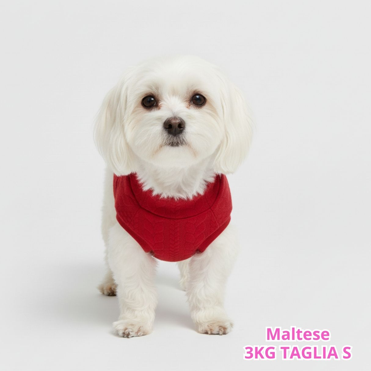 Maglione a Coste Rosso