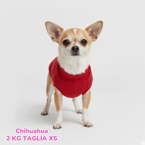 Maglione a Coste Rosso