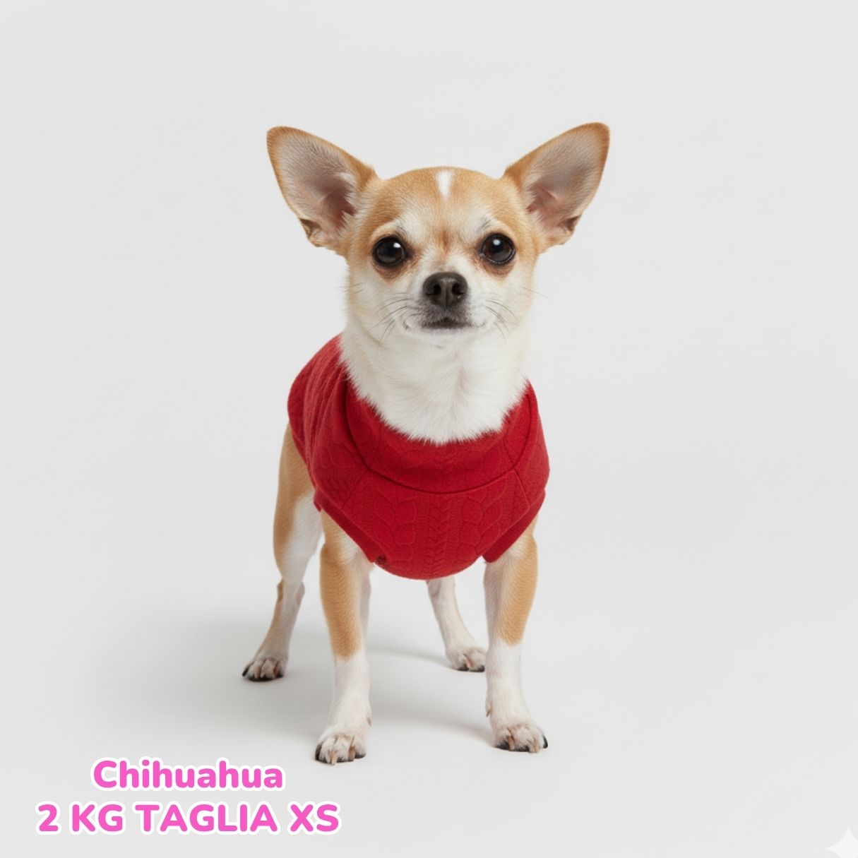 Maglione a Coste Rosso