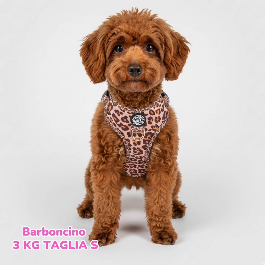 Pettorina ad H Morbida Golden Leopard