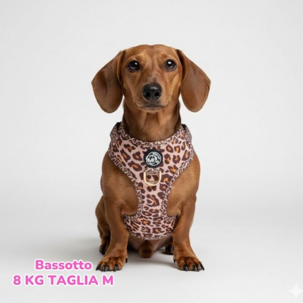 Pettorina ad H Morbida Golden Leopard