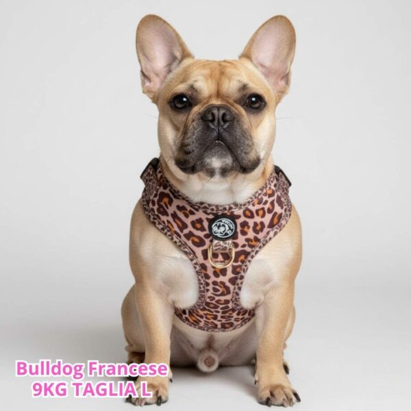 Pettorina ad H Morbida Golden Leopard