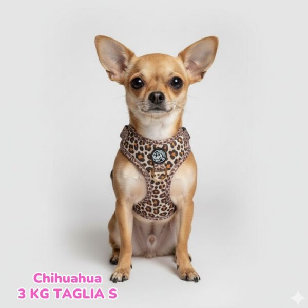 Pettorina ad H Morbida Golden Leopard