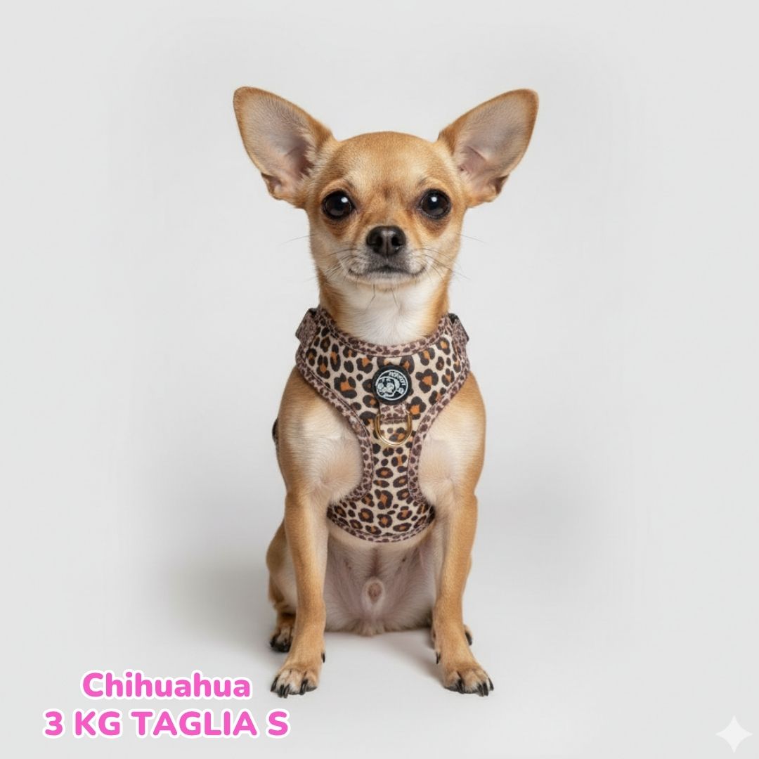 Pettorina ad H Morbida Golden Leopard