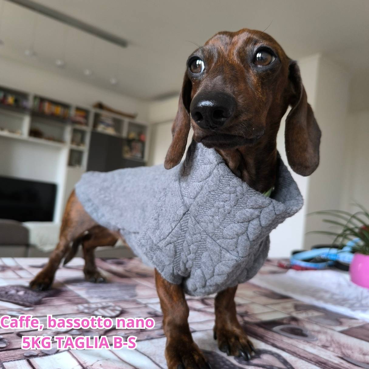 Maglione a Coste Grigio