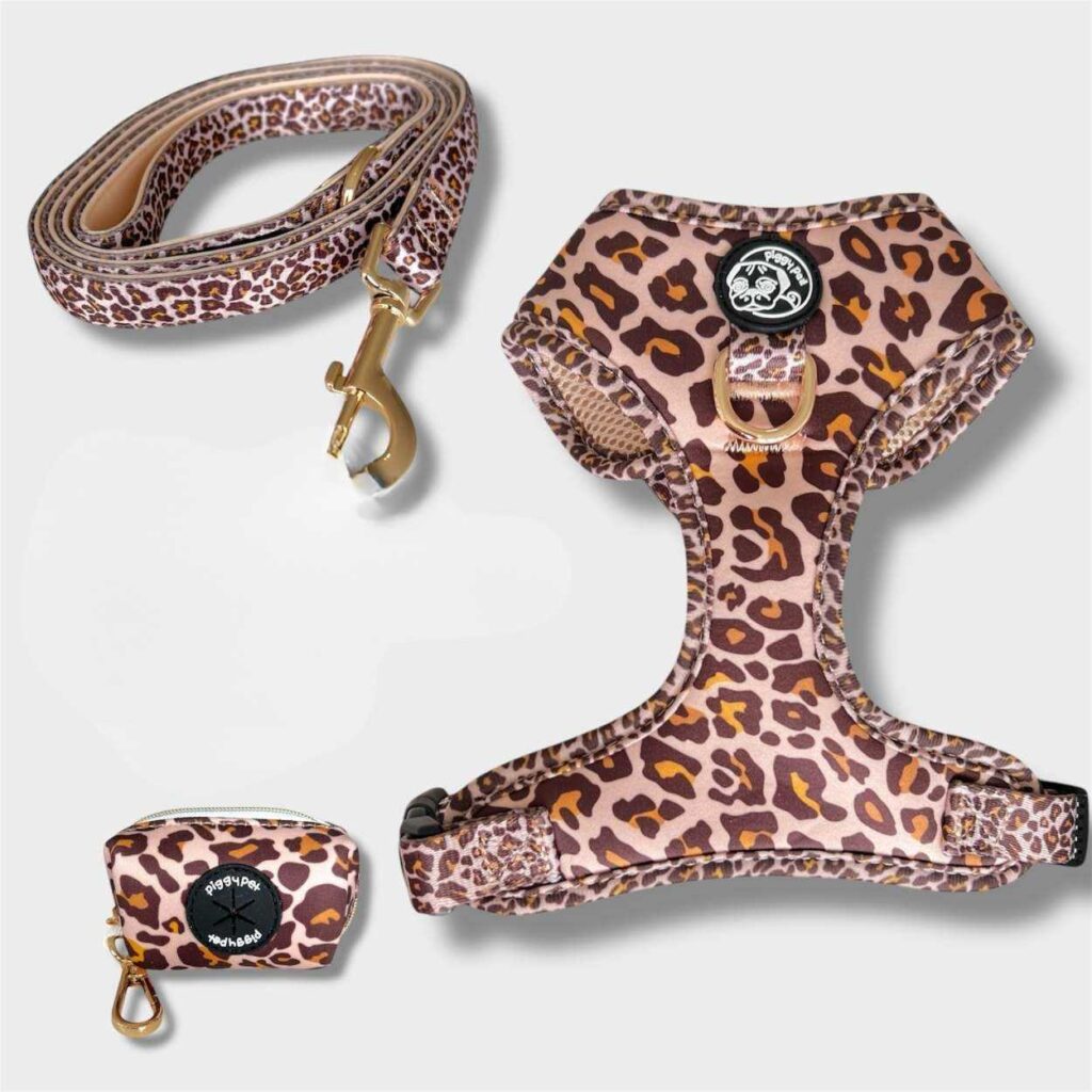 Set Golden Leopard