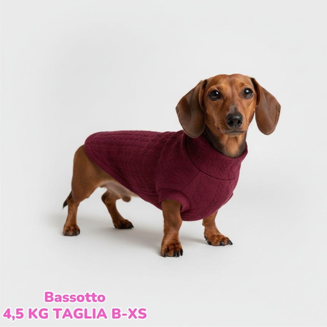 Maglione a Coste Bordeaux