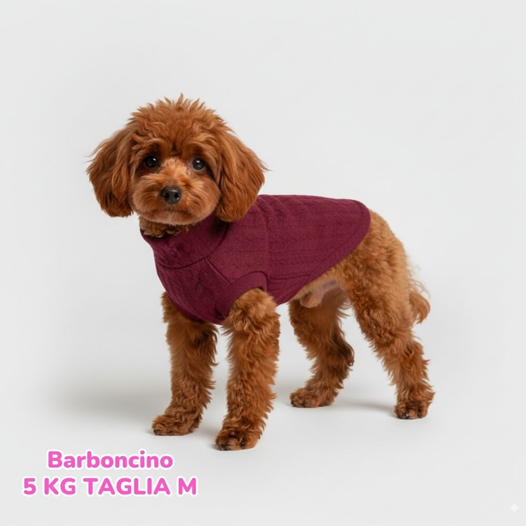 Maglione a Coste Bordeaux