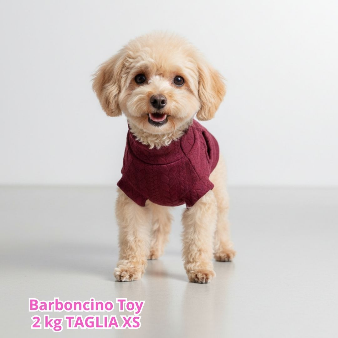 Maglione a Coste Bordeaux
