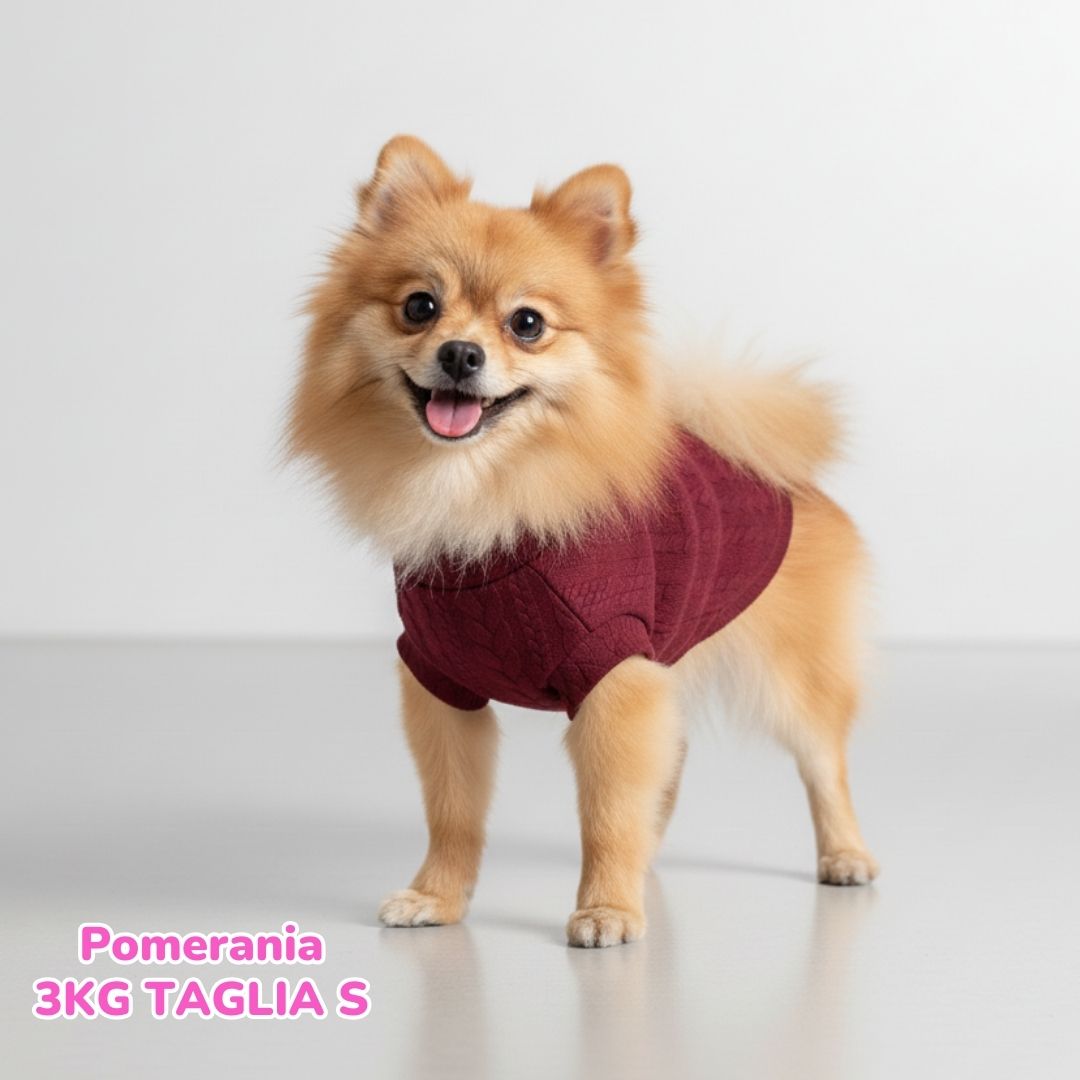 Maglione a Coste Bordeaux