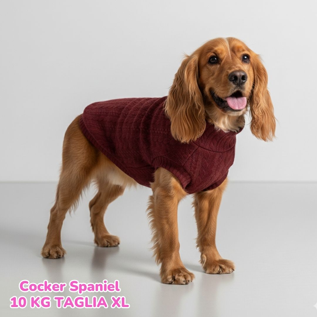 Maglione a Coste Bordeaux