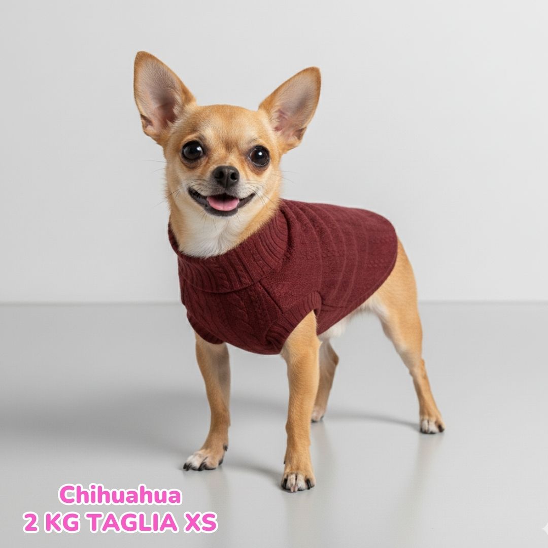 Maglione a Coste Bordeaux