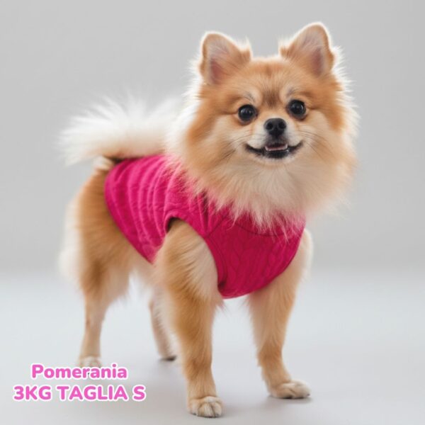 Maglione a Coste Fucsia