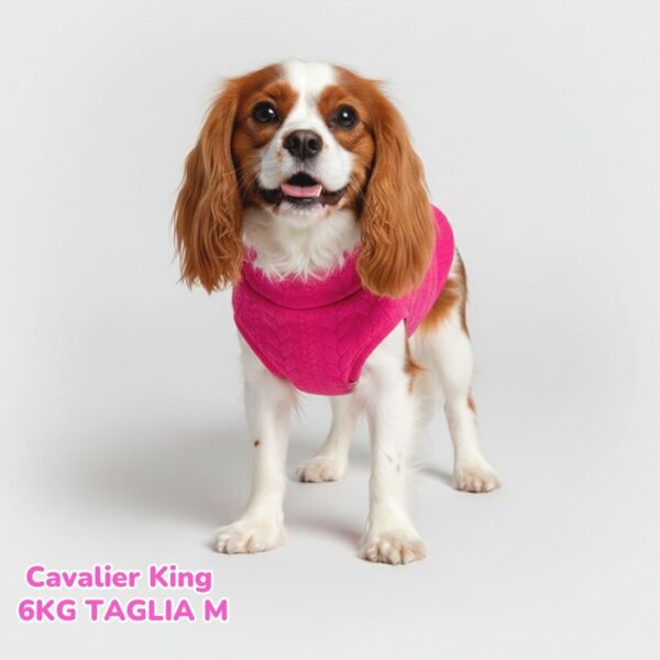 Maglione a Coste Fucsia