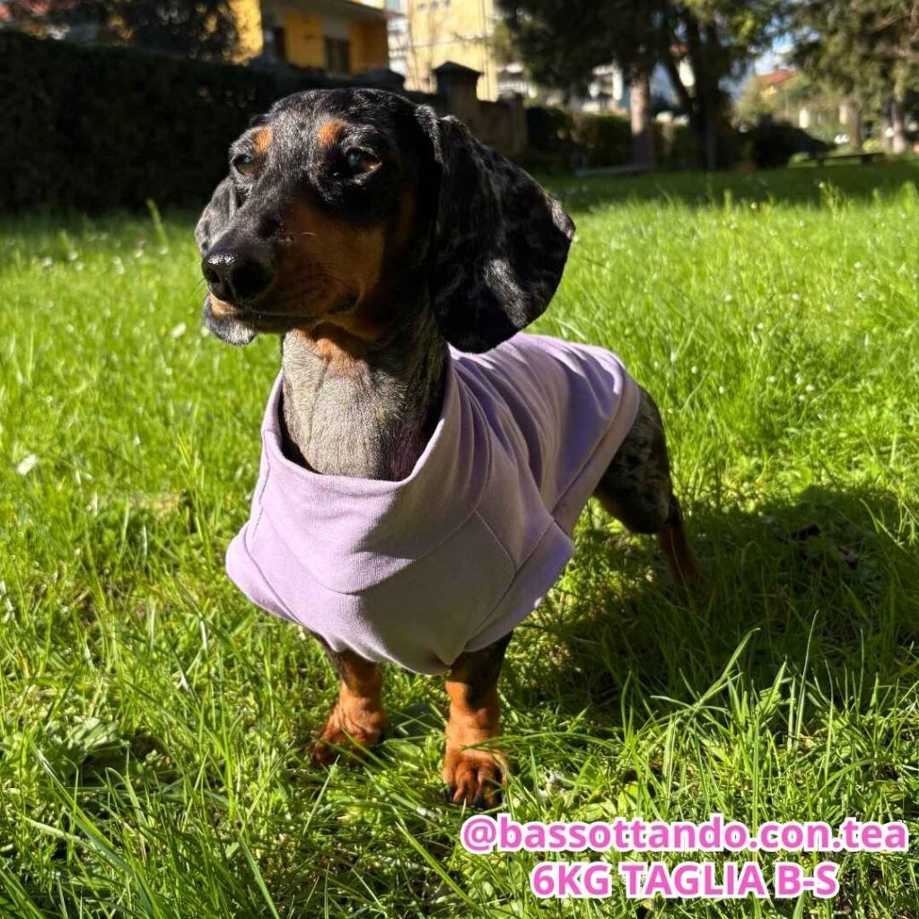 dorotea (62)