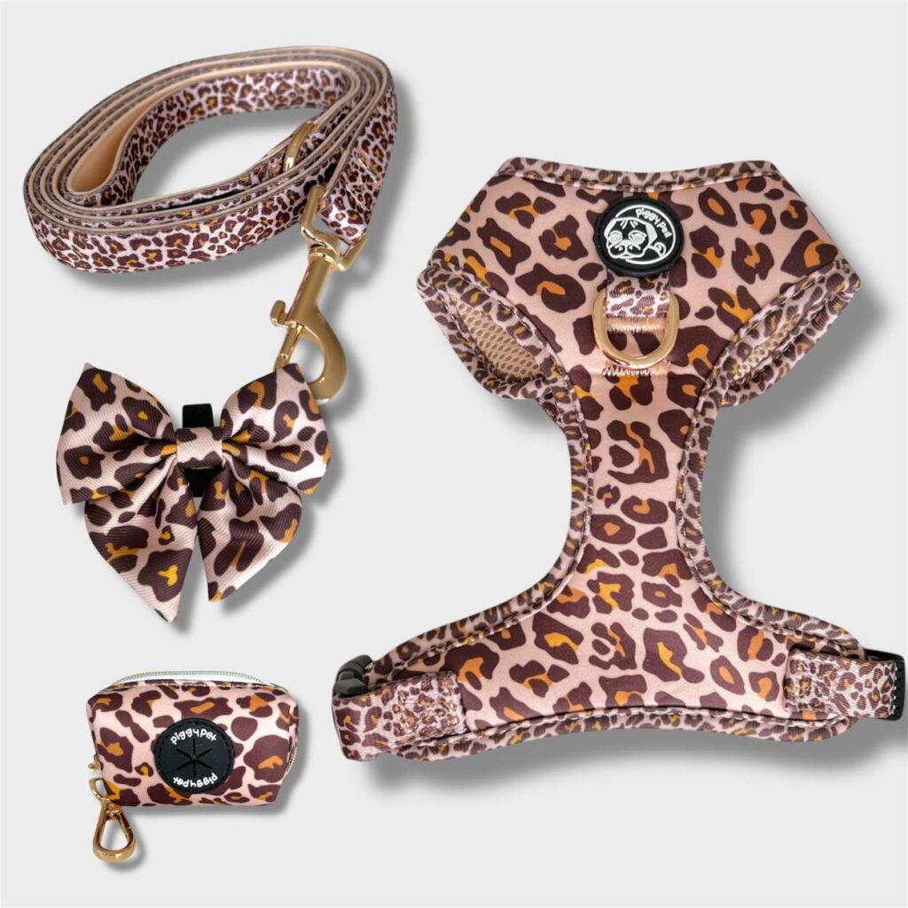 Set Golden Leopard