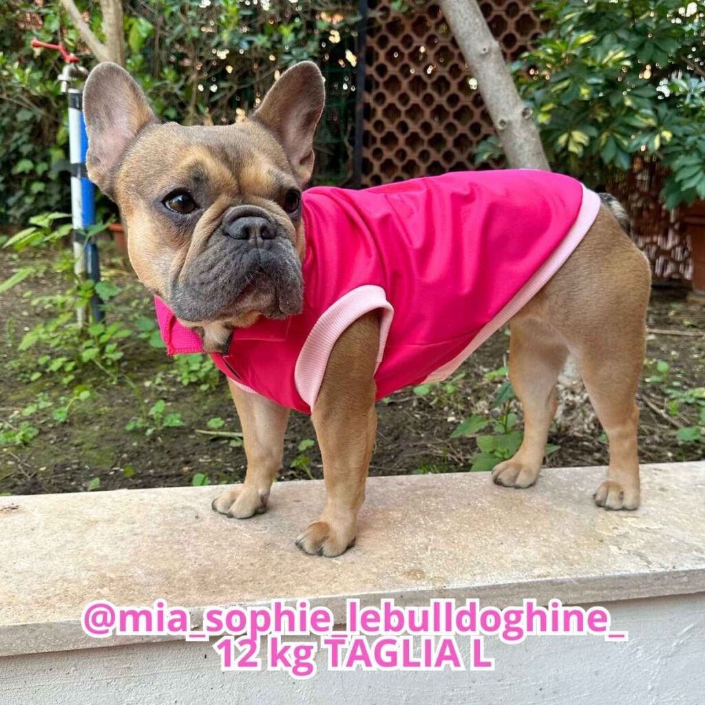 Copia di Copia di Rosa Arancione Tenue Foto Illustrato Beauty Care Promo Instagram post (44)