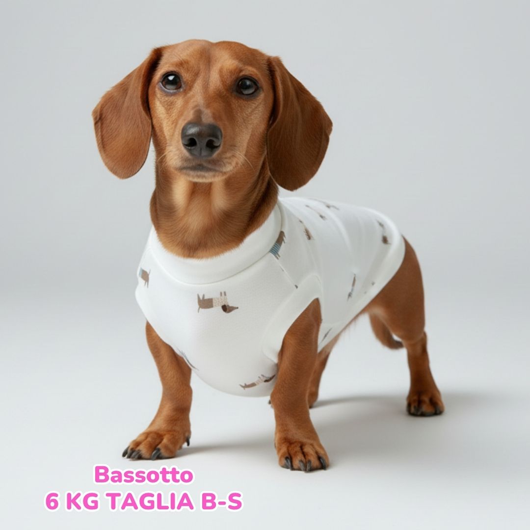 Maglietta Cotone Bassotti