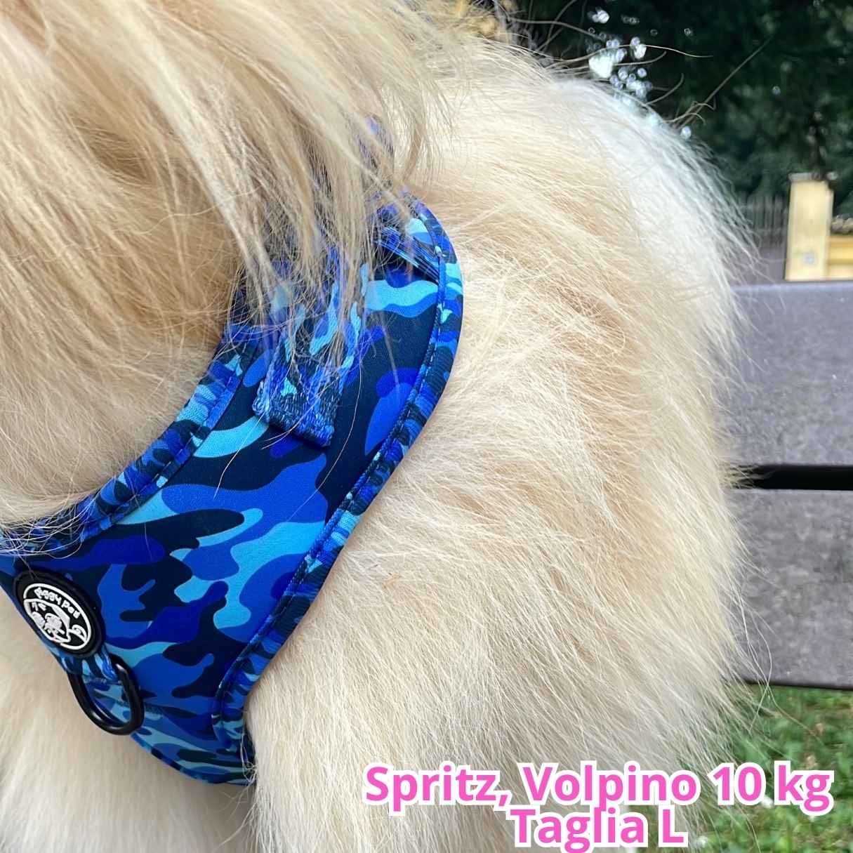 Pettorina ad H Regolabile Blue Camo
