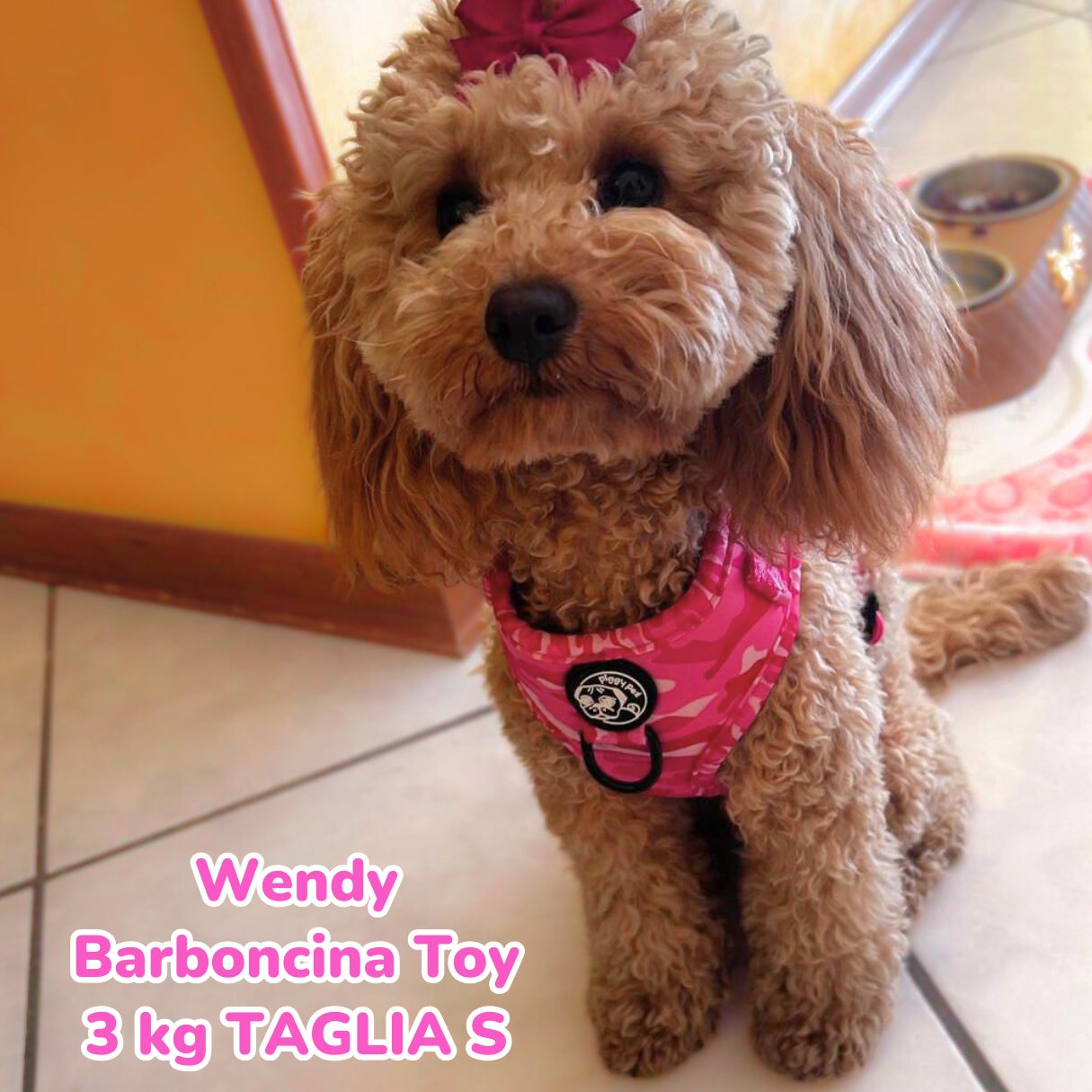 Pettorina ad H Regolabile Pink Camo
