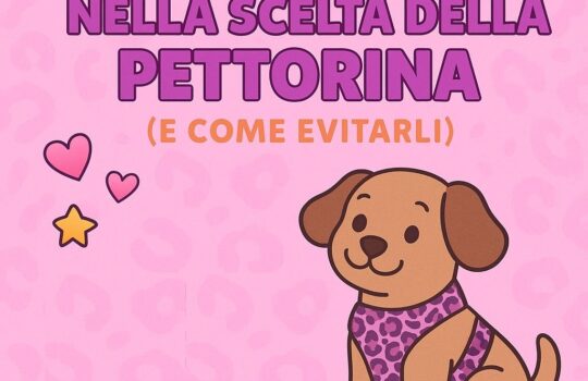 pettorina cane taglia giusta