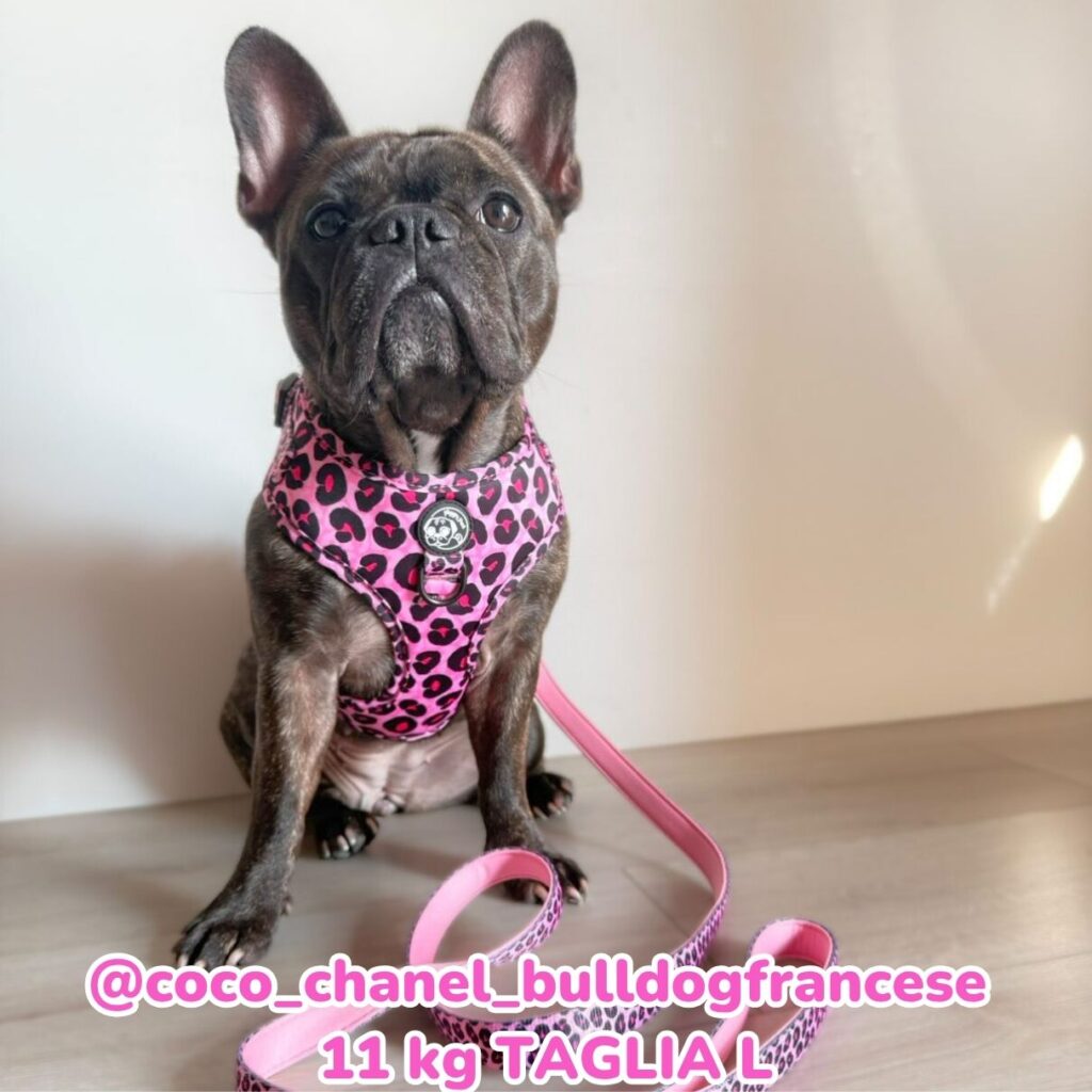 Copia di Copia di Rosa Arancione Tenue Foto Illustrato Beauty Care Promo Instagram post (46)