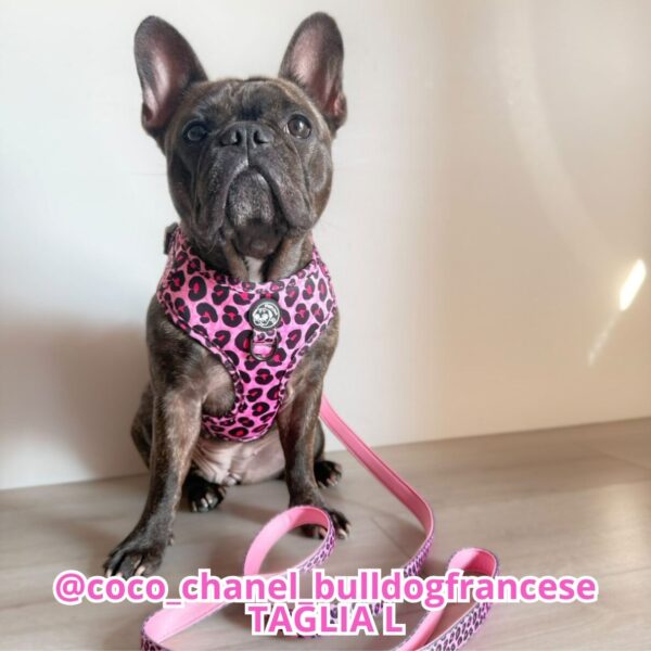 Copia di Copia di Rosa Arancione Tenue Foto Illustrato Beauty Care Promo Instagram post (48)