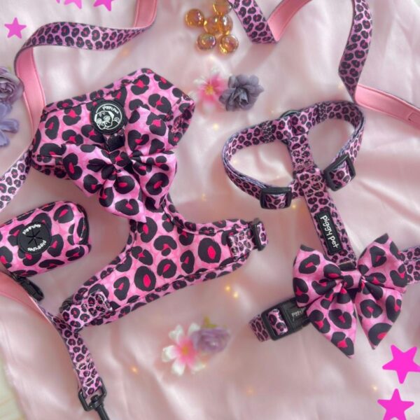 #PIGGYPETNEWCOLLECTION (62) (1)
