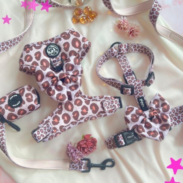 #PIGGYPETNEWCOLLECTION (64) (1)