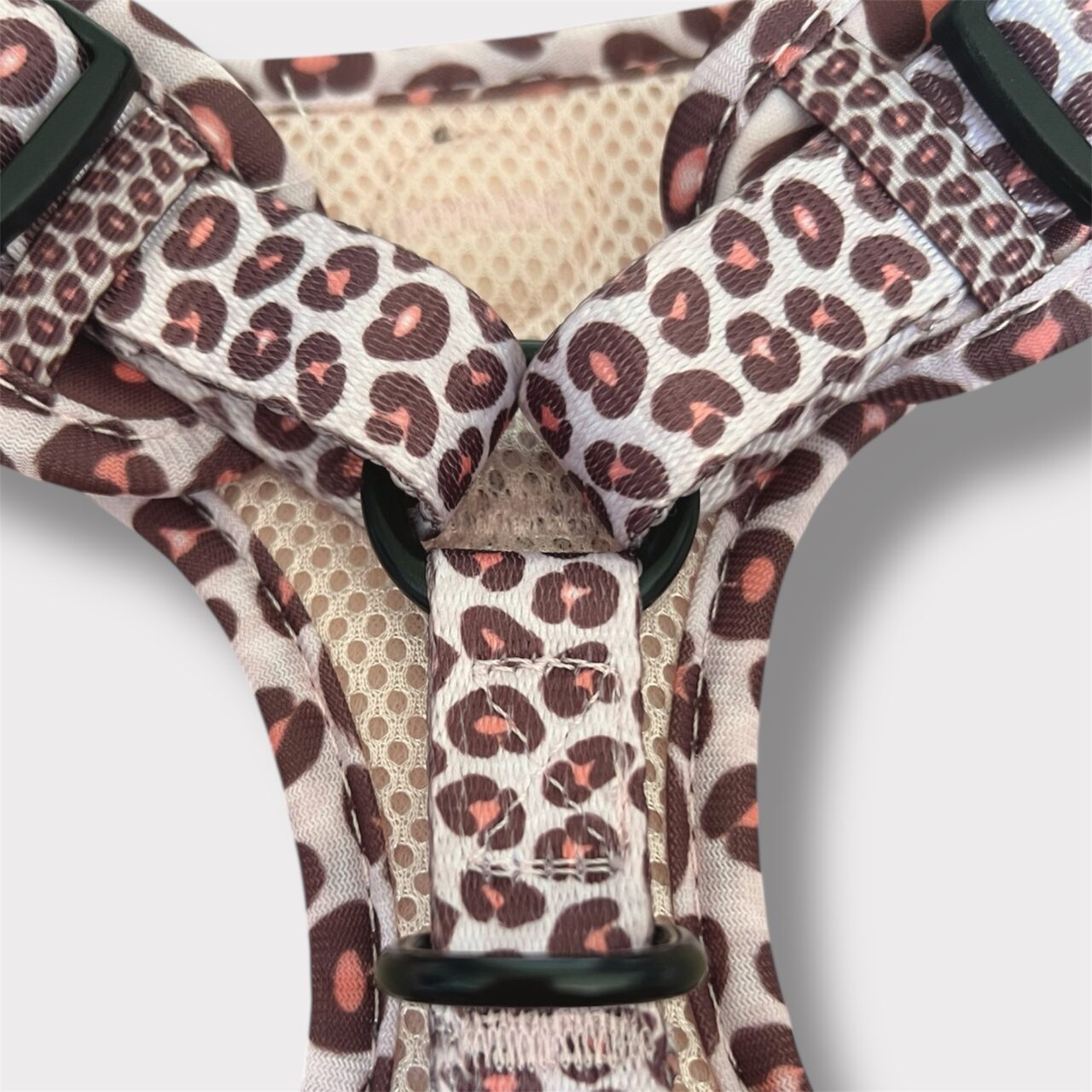 Pettorina ad H Regolabile Creamy Leopard