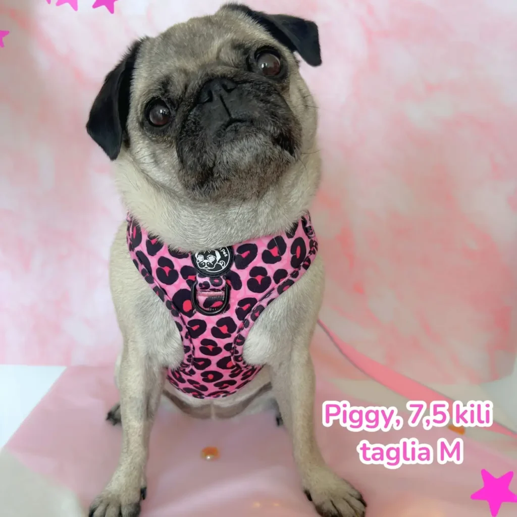 blush leopard (14)