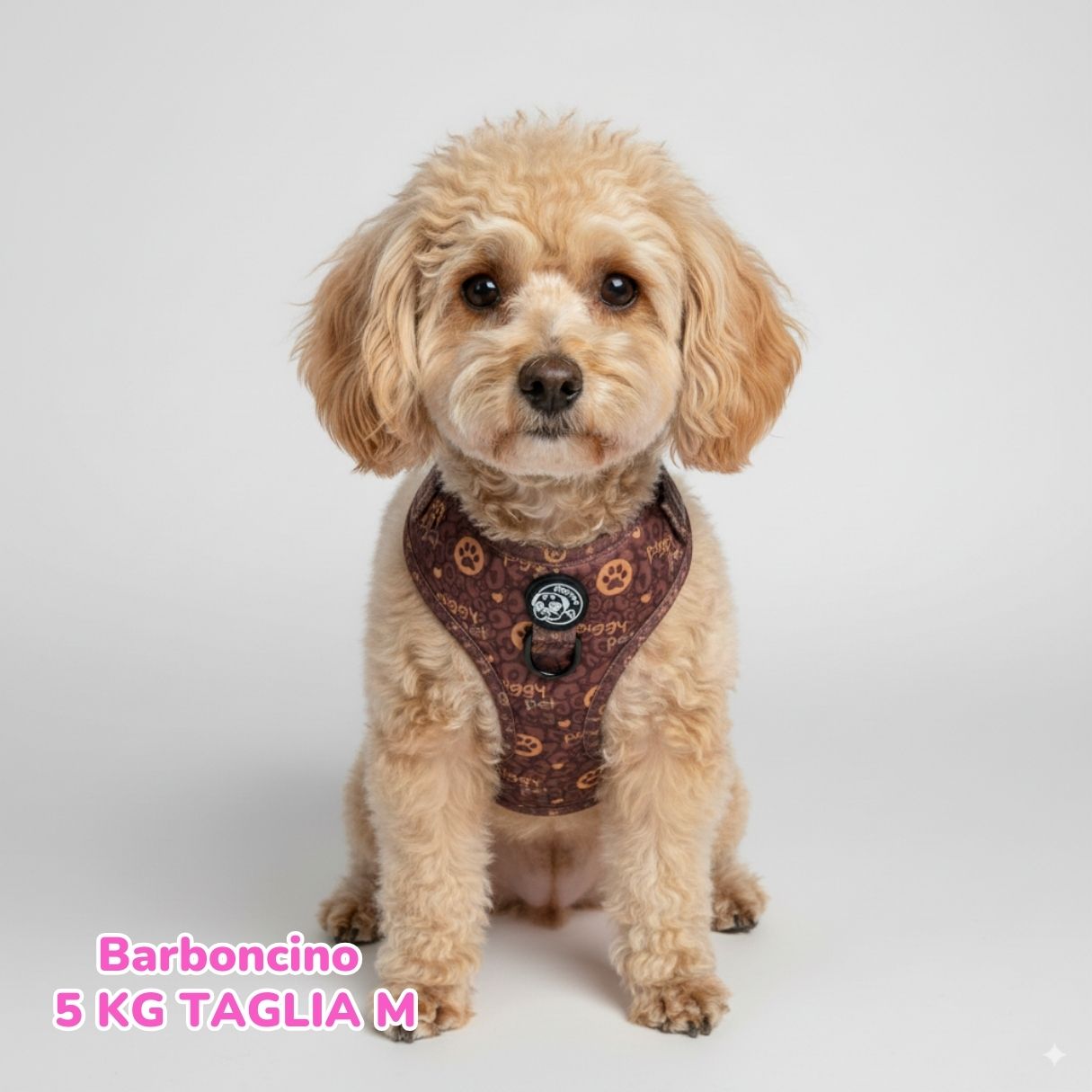 Pettorina ad H Morbida Piggy Elegance Monogram