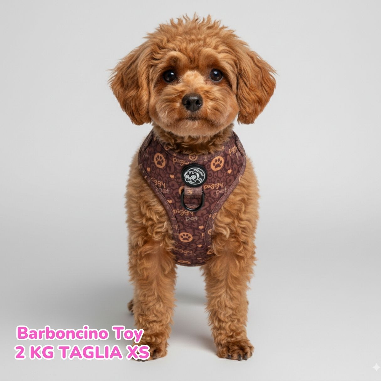 Pettorina ad H Morbida Piggy Elegance Monogram