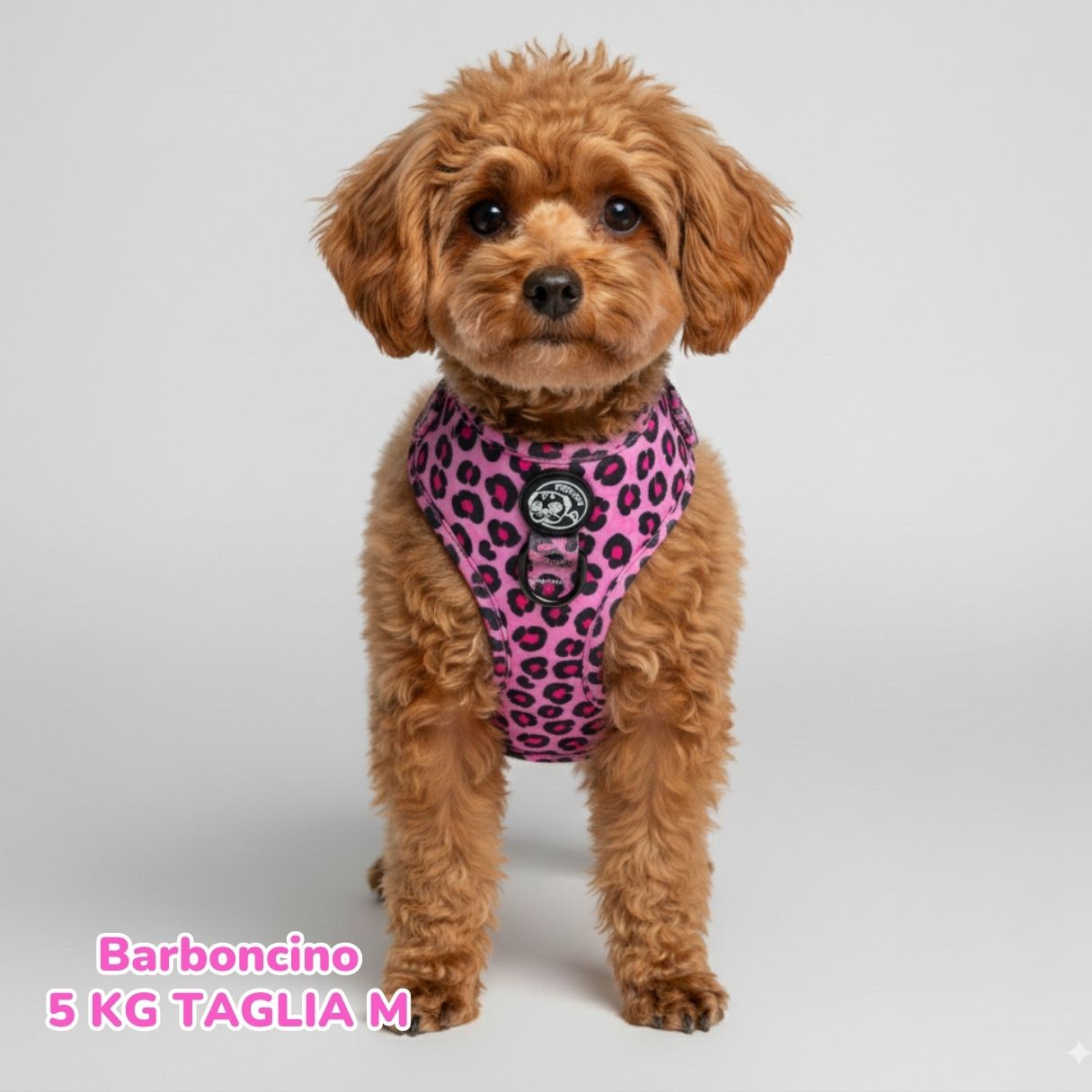 Pettorina ad H Morbida Blush Leopard
