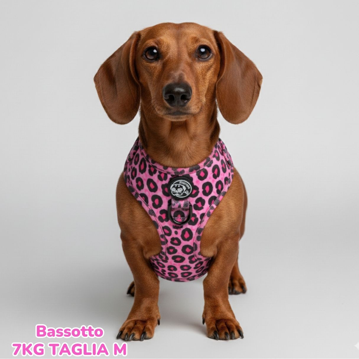 Pettorina ad H Morbida Blush Leopard