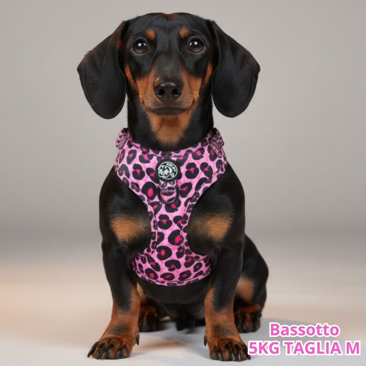 Pettorina ad H Morbida Blush Leopard