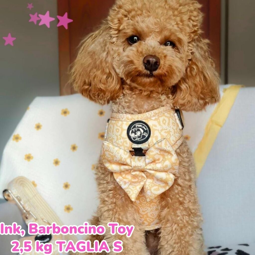 Copia di Copia di Rosa Arancione Tenue Foto Illustrato Beauty Care Promo Instagram post (59)