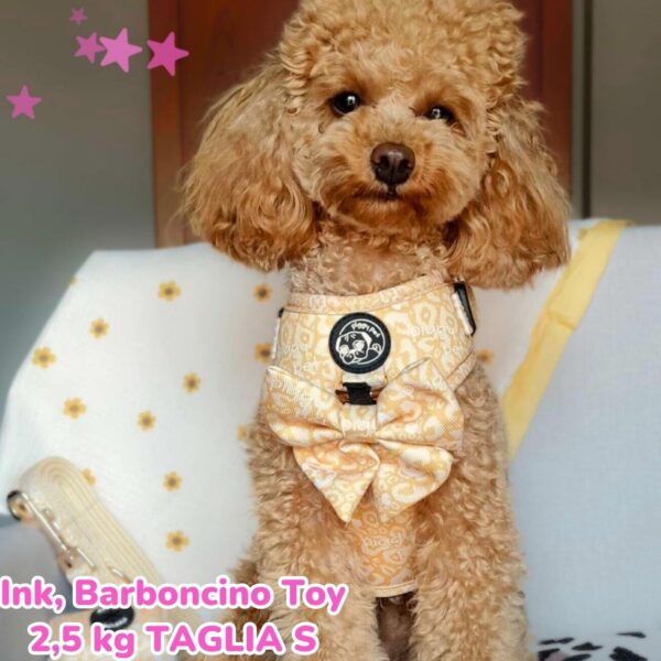 Copia di Copia di Rosa Arancione Tenue Foto Illustrato Beauty Care Promo Instagram post (59)