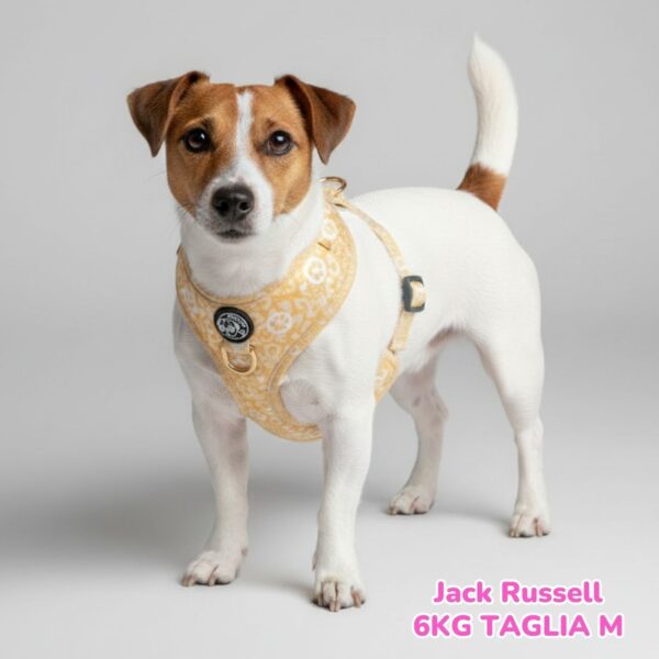 Pettorina ad H Morbida Gold Monogram