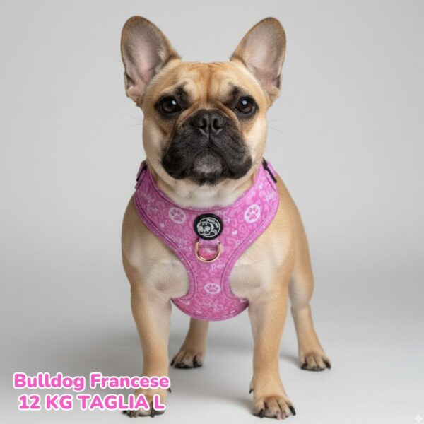 Pettorina ad H Morbida Lilac Monogram Pettorina ad H Morbida Lilac Monogram