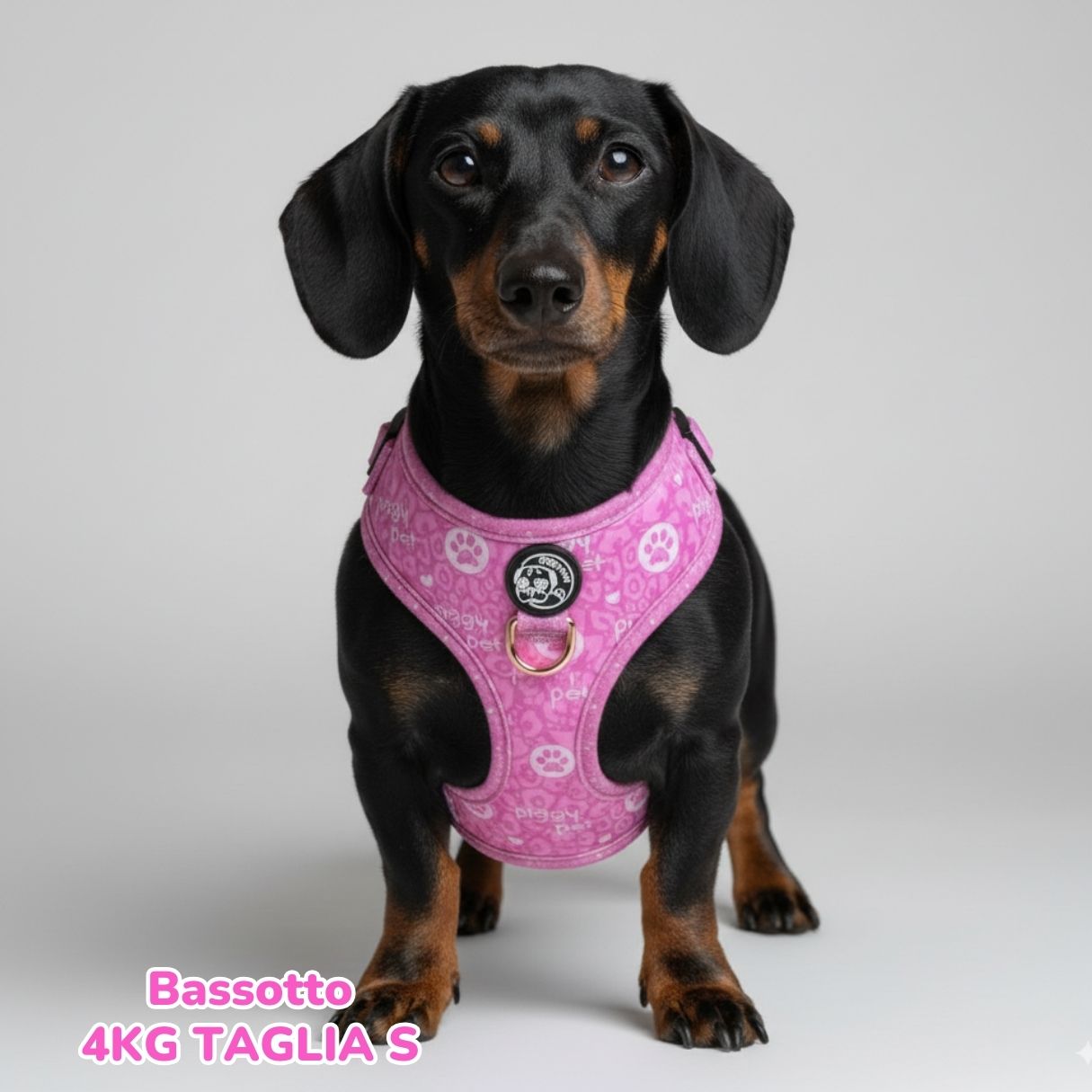 Pettorina ad H Morbida Lilac Monogram