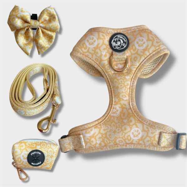 Set Gold Monogram