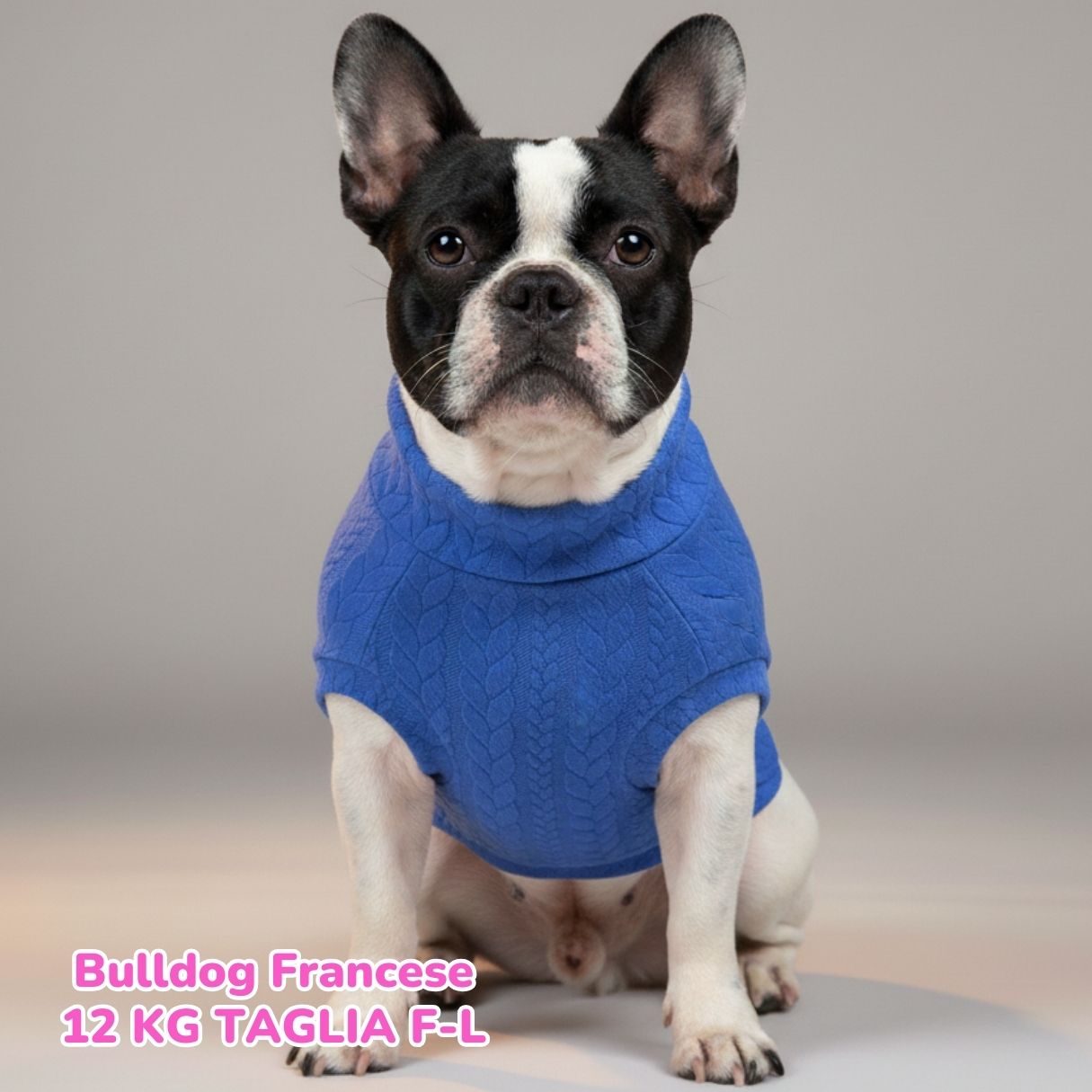 Maglione a Coste Bluette