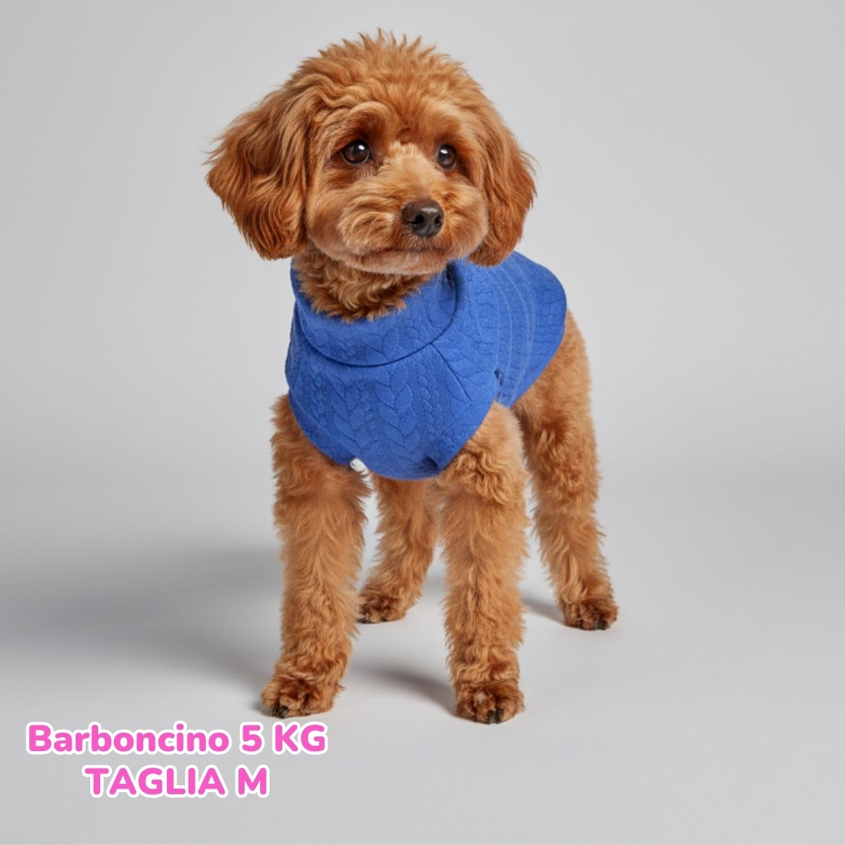 Maglione a Coste Bluette