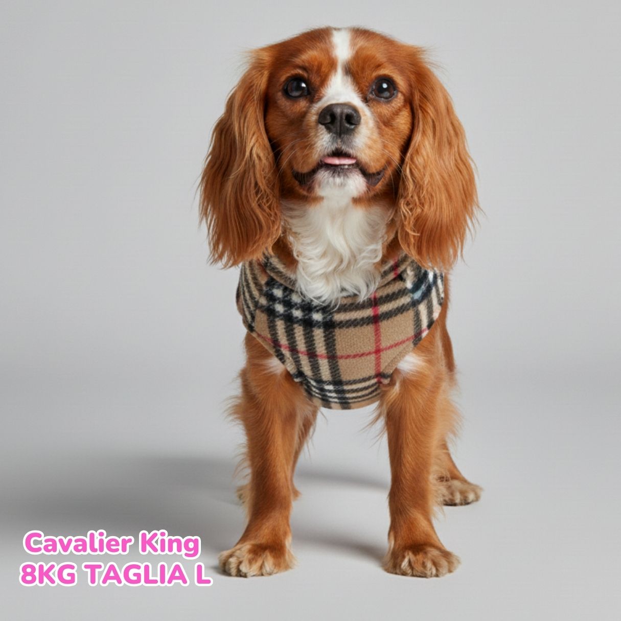 Pile Tartan Beige